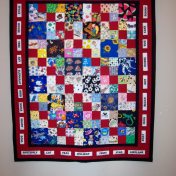 Picture Play Quilt - guild library project